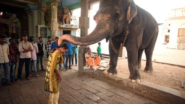 train trip through india