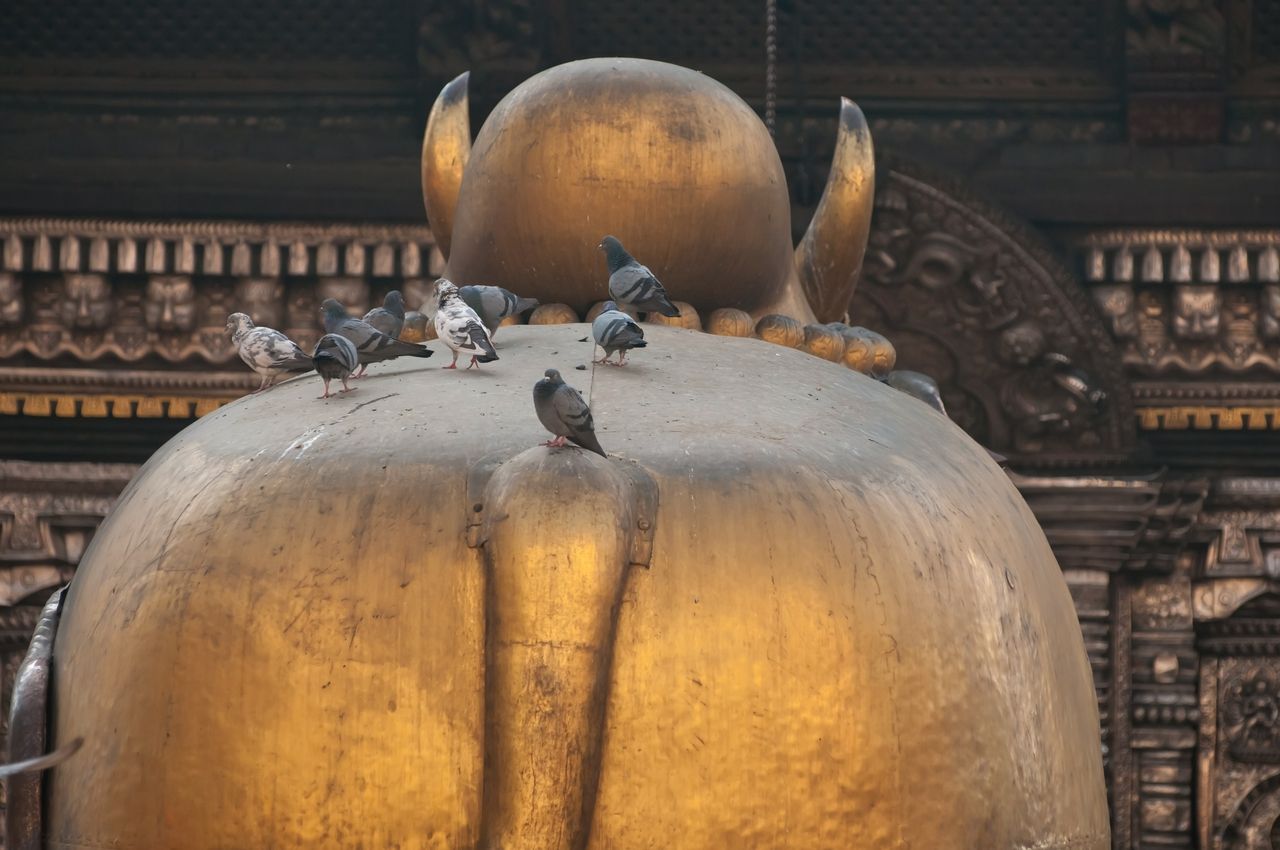 Shiva's Nandi bull at Pashupatinath Temple