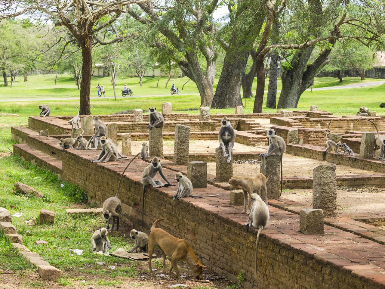 anuradhapura travel guide