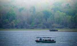 The Kabini River Safari