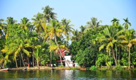 backwaters alleppey kerala