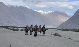 kashmir to ladakh trip