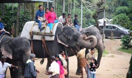 visiting elephant camp thekkady